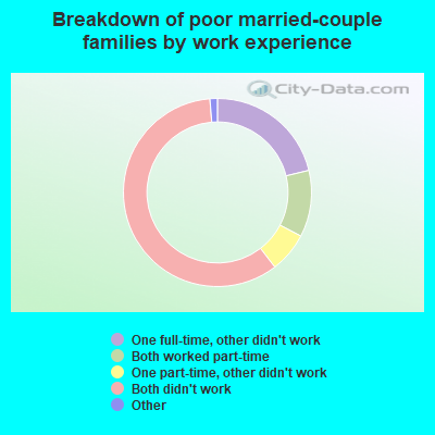 Breakdown of poor married-couple families by work experience