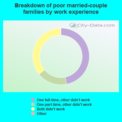 Breakdown of poor married-couple families by work experience