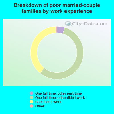 Breakdown of poor married-couple families by work experience