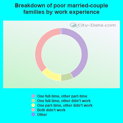 Breakdown of poor married-couple families by work experience