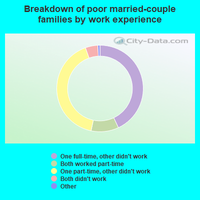 Breakdown of poor married-couple families by work experience