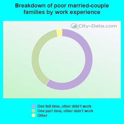 Breakdown of poor married-couple families by work experience