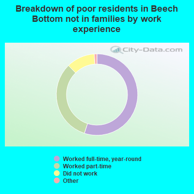 Breakdown of poor residents in Beech Bottom not in families by work experience