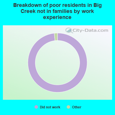 Breakdown of poor residents in Big Creek not in families by work experience