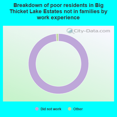 Breakdown of poor residents in Big Thicket Lake Estates not in families by work experience