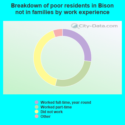 Breakdown of poor residents in Bison not in families by work experience