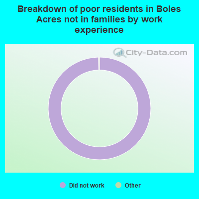 Breakdown of poor residents in Boles Acres not in families by work experience