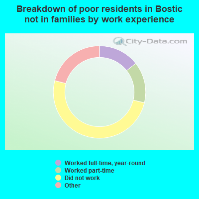 Breakdown of poor residents in Bostic not in families by work experience