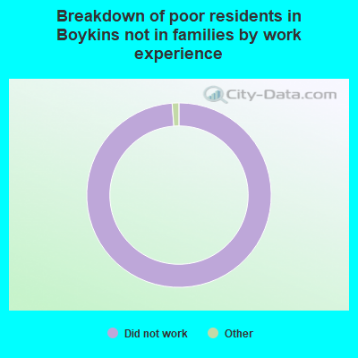 Breakdown of poor residents in Boykins not in families by work experience