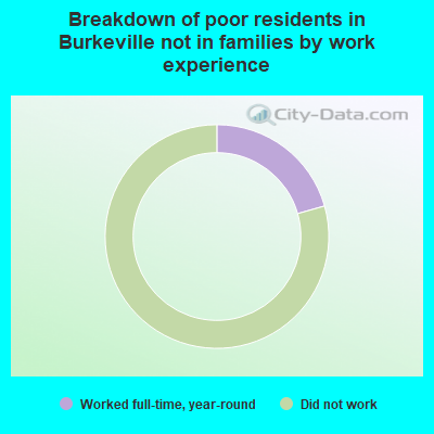 Breakdown of poor residents in Burkeville not in families by work experience