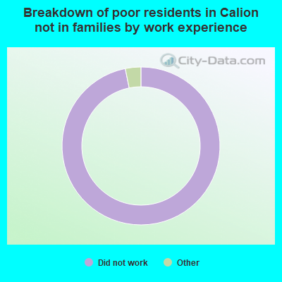 Breakdown of poor residents in Calion not in families by work experience