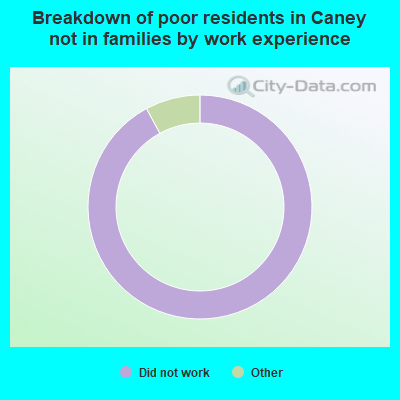 Breakdown of poor residents in Caney not in families by work experience