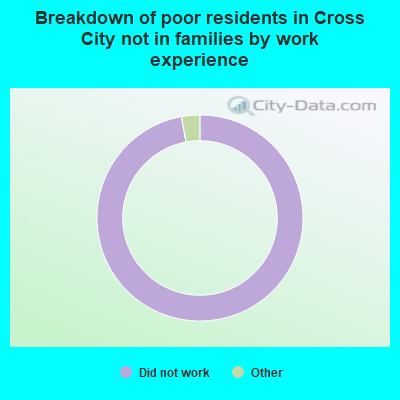 Breakdown of poor residents in Cross City not in families by work experience