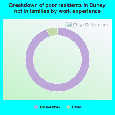Breakdown of poor residents in Cuney not in families by work experience