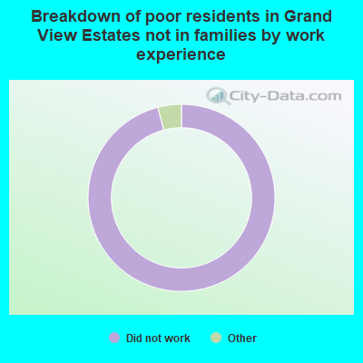 Breakdown of poor residents in Grand View Estates not in families by work experience