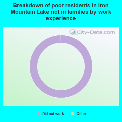 Breakdown of poor residents in Iron Mountain Lake not in families by work experience