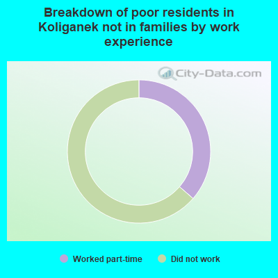 Breakdown of poor residents in Koliganek not in families by work experience