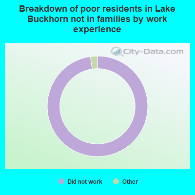 Breakdown of poor residents in Lake Buckhorn not in families by work experience