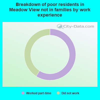 Breakdown of poor residents in Meadow View not in families by work experience