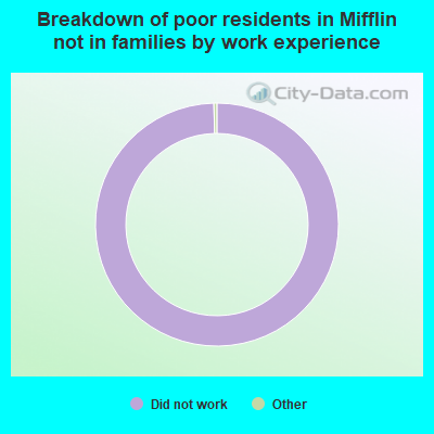 Breakdown of poor residents in Mifflin not in families by work experience