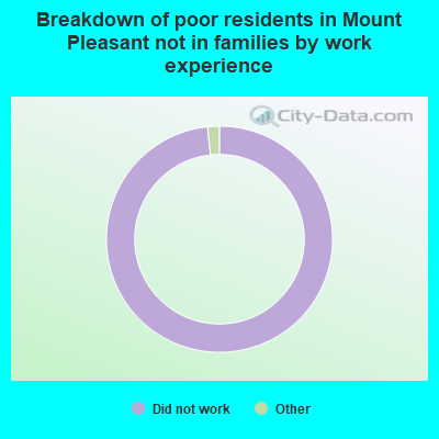 Breakdown of poor residents in Mount Pleasant not in families by work experience