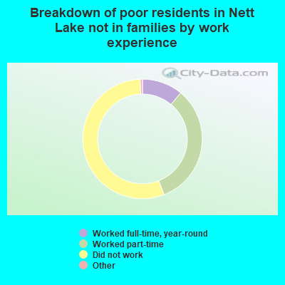 Breakdown of poor residents in Nett Lake not in families by work experience
