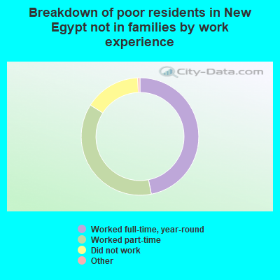Breakdown of poor residents in New Egypt not in families by work experience