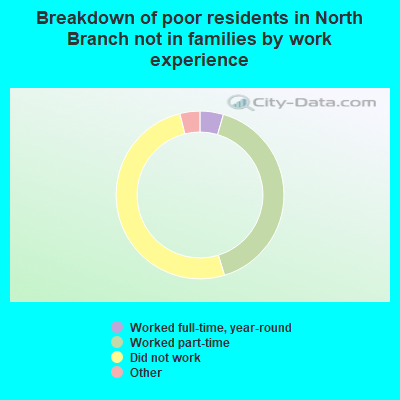 Breakdown of poor residents in North Branch not in families by work experience