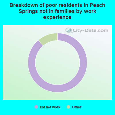 Breakdown of poor residents in Peach Springs not in families by work experience