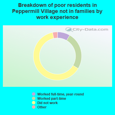 Breakdown of poor residents in Peppermill Village not in families by work experience