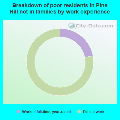 Breakdown of poor residents in Pine Hill not in families by work experience
