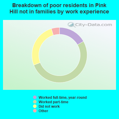 Breakdown of poor residents in Pink Hill not in families by work experience