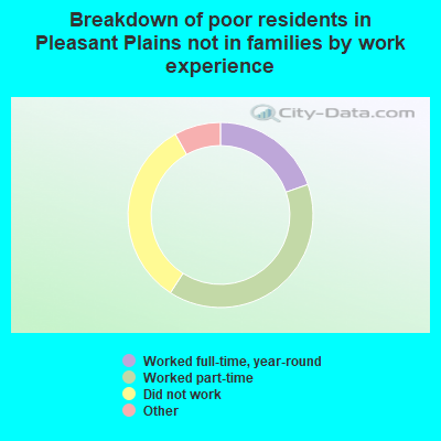 Breakdown of poor residents in Pleasant Plains not in families by work experience