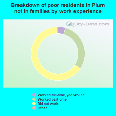 Breakdown of poor residents in Plum not in families by work experience