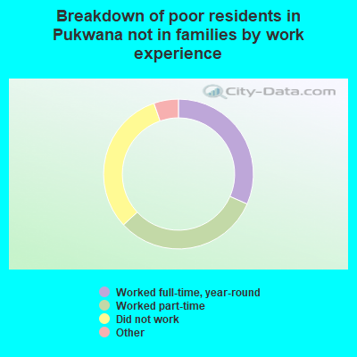 Breakdown of poor residents in Pukwana not in families by work experience