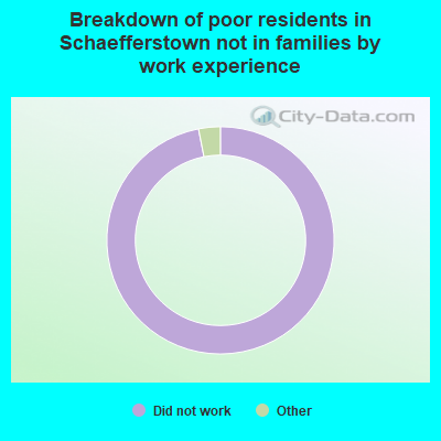 Breakdown of poor residents in Schaefferstown not in families by work experience