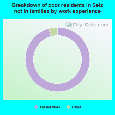 Breakdown of poor residents in Selz not in families by work experience