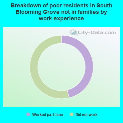 Breakdown of poor residents in South Blooming Grove not in families by work experience