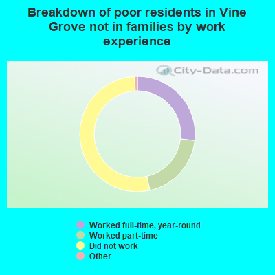 Breakdown of poor residents in Vine Grove not in families by work experience