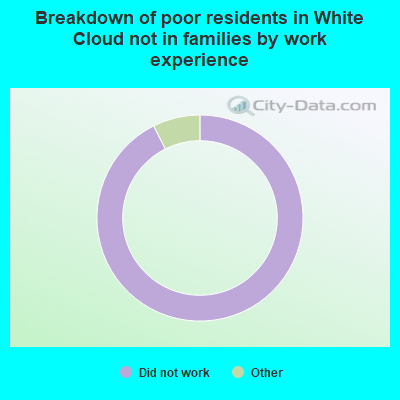 Breakdown of poor residents in White Cloud not in families by work experience