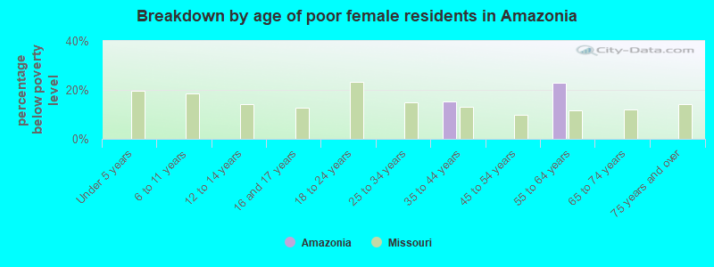 Breakdown by age of poor female residents in Amazonia