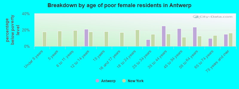 Breakdown by age of poor female residents in Antwerp