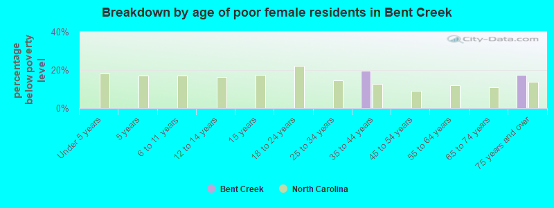 Breakdown by age of poor female residents in Bent Creek