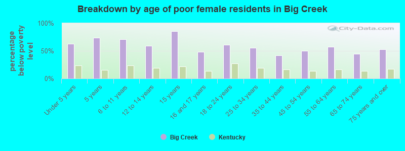 Breakdown by age of poor female residents in Big Creek