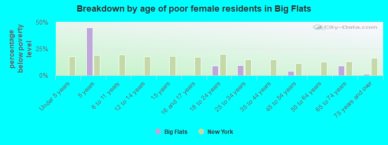Breakdown by age of poor female residents in Big Flats