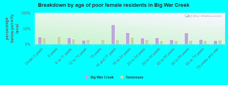 Breakdown by age of poor female residents in Big War Creek