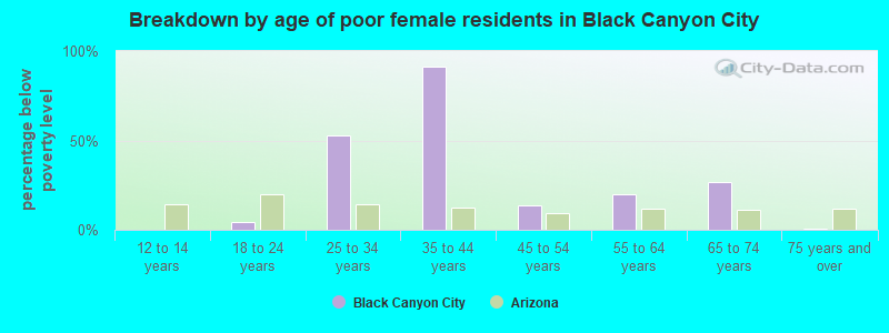Breakdown by age of poor female residents in Black Canyon City