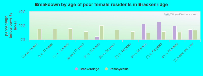 Breakdown by age of poor female residents in Brackenridge