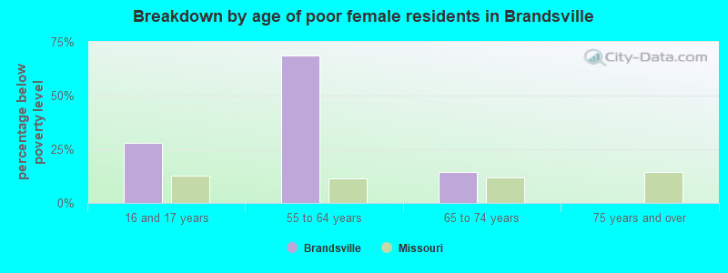Breakdown by age of poor female residents in Brandsville