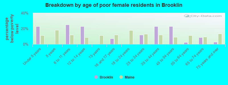 Breakdown by age of poor female residents in Brooklin